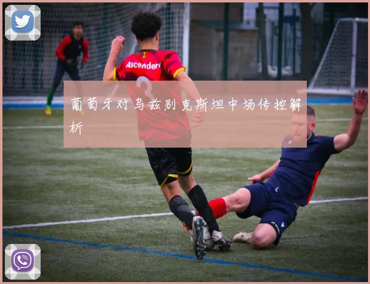 葡萄牙对乌兹别克斯坦中场传控解析