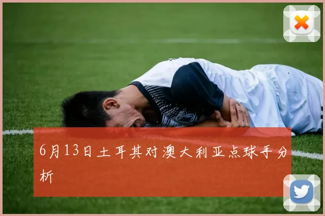 6月13日土耳其对澳大利亚点球手分析