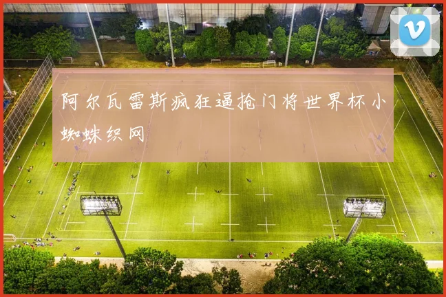 阿尔瓦雷斯疯狂逼抢门将世界杯小蜘蛛织网