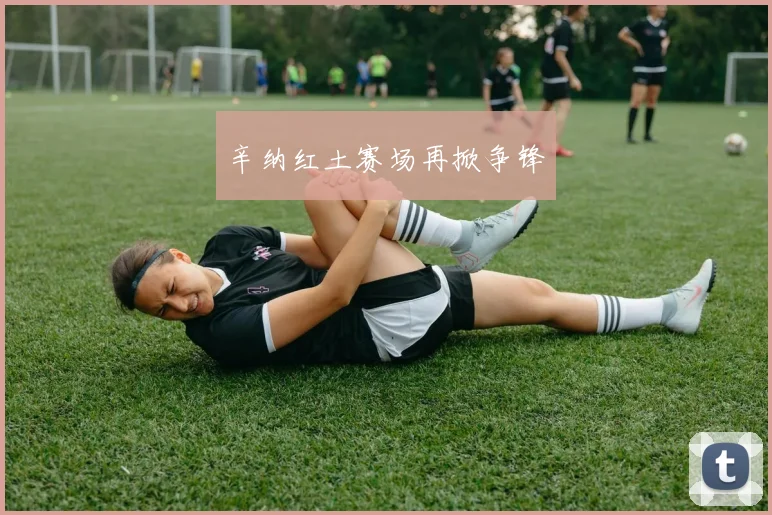 辛纳红土赛场再掀争锋