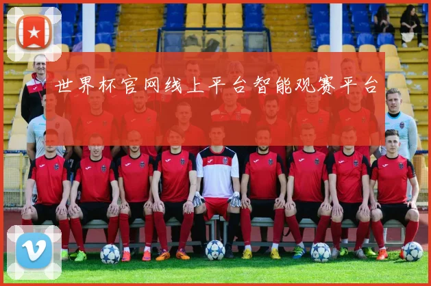 世界杯官网线上平台智能观赛平台
