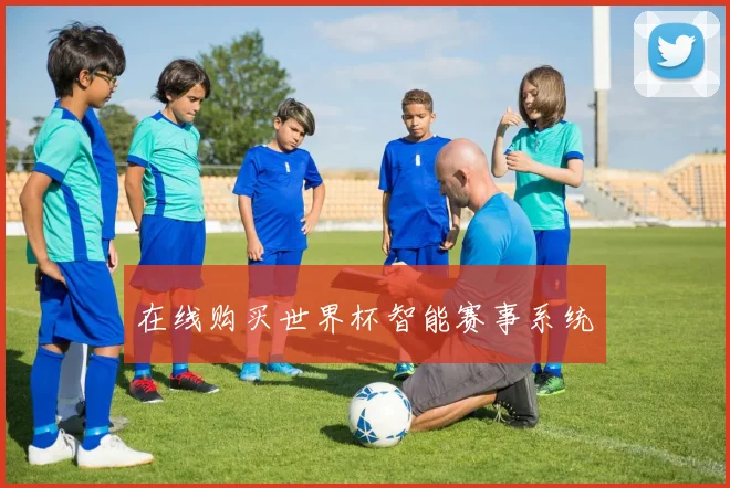 在线购买世界杯智能赛事系统