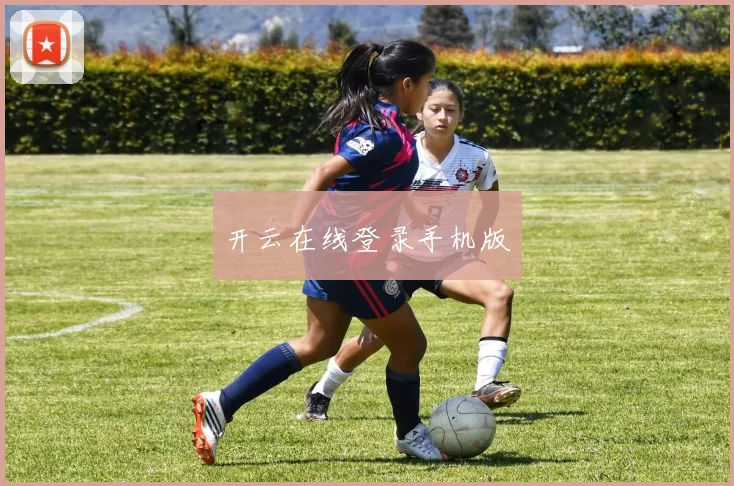 开云在线登录手机版