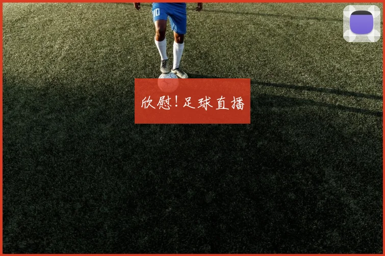 欣慰!足球直播
