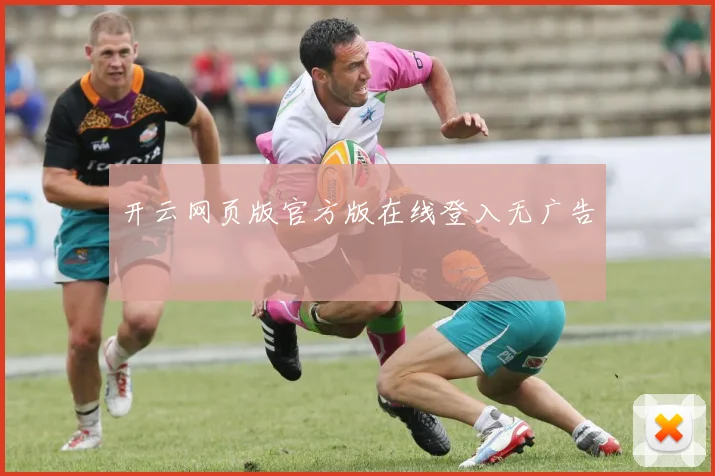 开云网页版官方版在线登入无广告