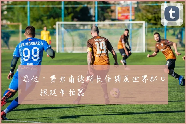 恩佐·费尔南德斯长传调度世界杯阿根廷节拍器