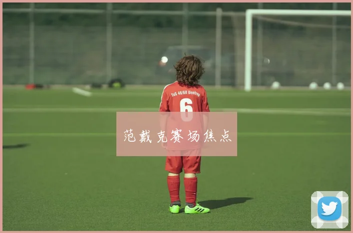 范戴克赛场焦点