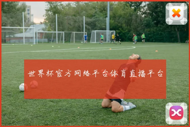 世界杯官方网络平台体育直播平台
