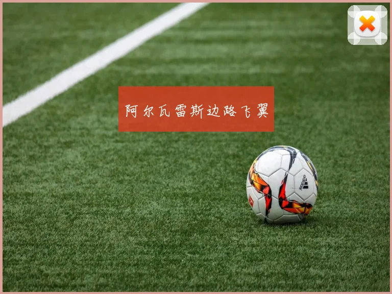 阿尔瓦雷斯边路飞翼