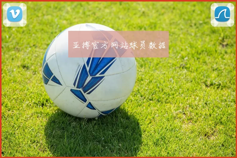 亚搏官方网站球员数据
