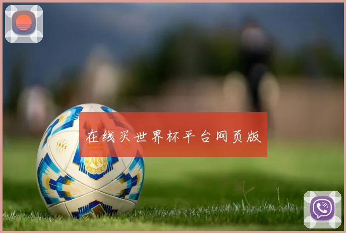 在线买世界杯平台网页版