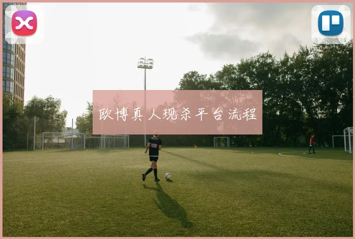 欧博真人现杀平台流程