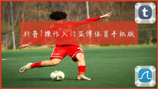 科普!操作入门亚傅体育手机版