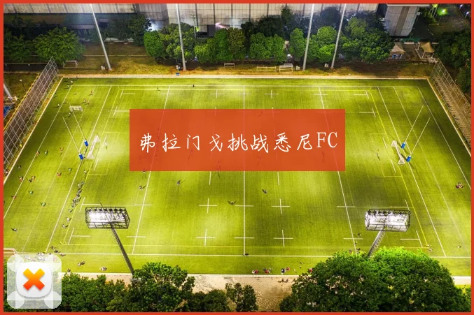 弗拉门戈挑战悉尼FC