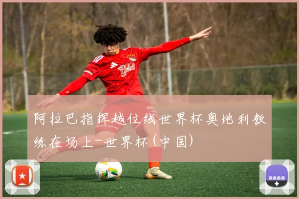 阿拉巴指挥越位线世界杯奥地利教练在场上-世界杯(中国)