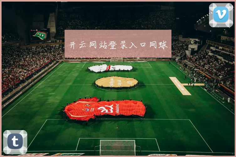 开云网站登录入口网球