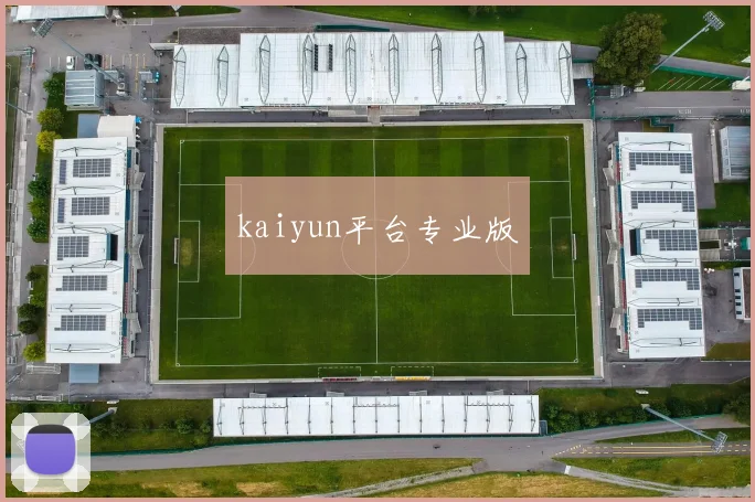 kaiyun平台专业版