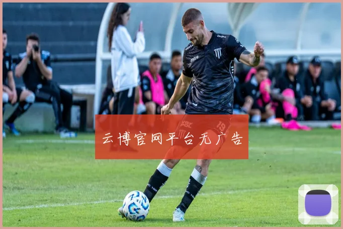 云博官网平台无广告