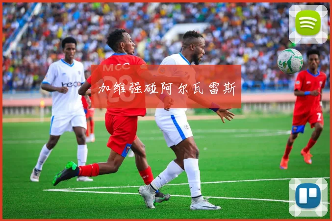 加维强碰阿尔瓦雷斯