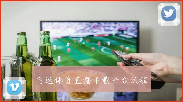 飞速体育直播下载平台流程