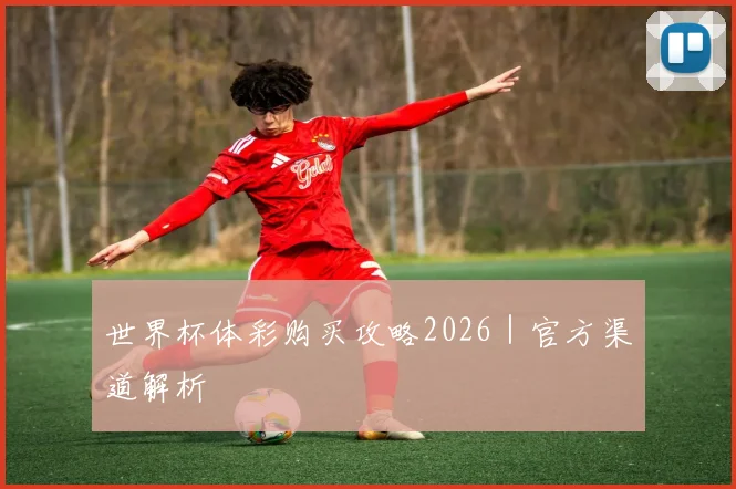 世界杯体彩购买攻略2026｜官方渠道解析
