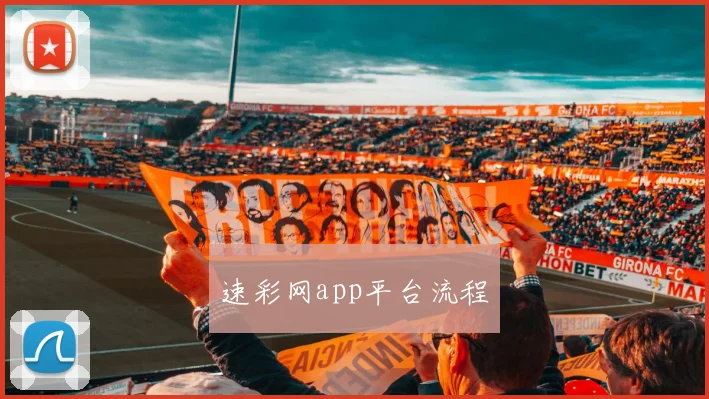 速彩网app平台流程