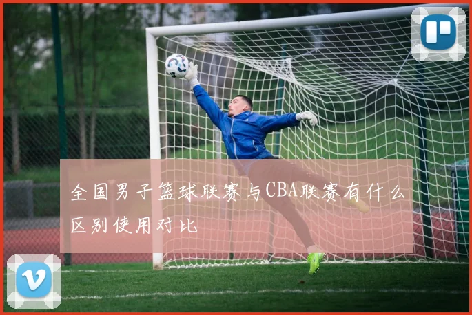 全国男子篮球联赛与CBA联赛有什么区别使用对比