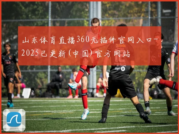 山东体育直播360无插件官网入口-2025已更新(中国)官方网站