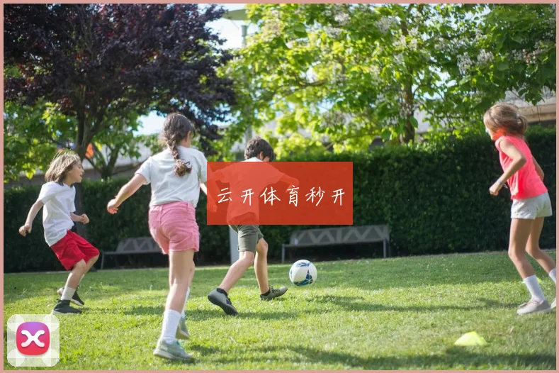 云开体育秒开