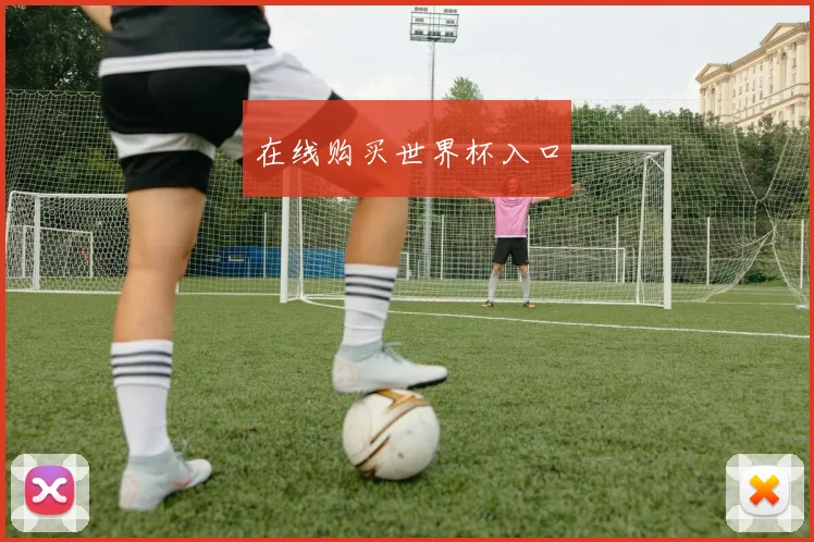 在线购买世界杯入口