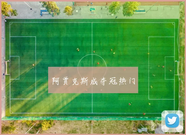 阿贾克斯成夺冠热门