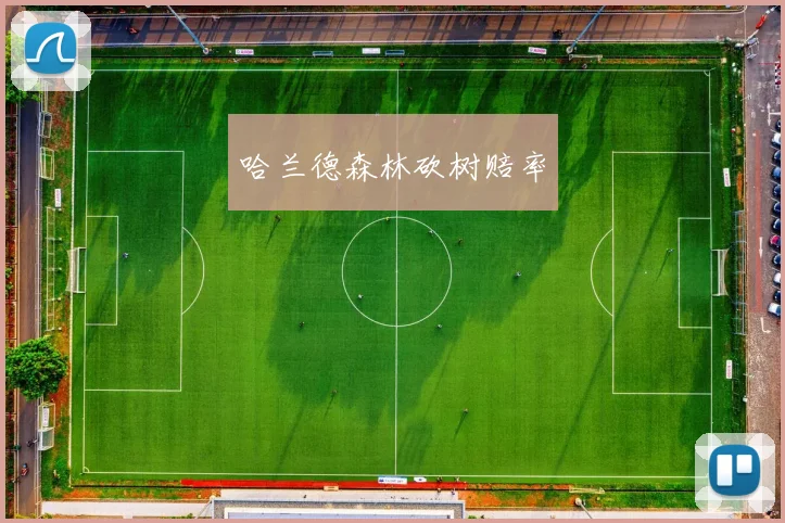 哈兰德森林砍树赔率