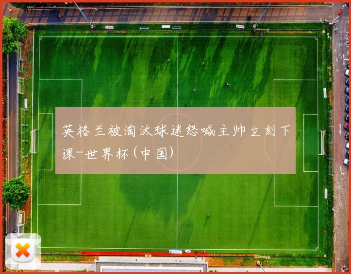 英格兰被淘汰球迷怒喊主帅立刻下课-世界杯(中国)