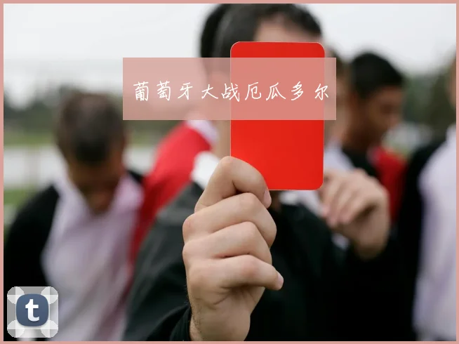 葡萄牙大战厄瓜多尔