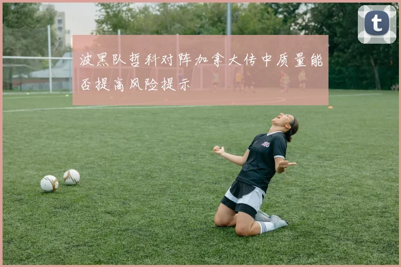 波黑队哲科对阵加拿大传中质量能否提高风险提示